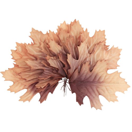 Floristik24 Liść dębu czerwonego jesienne liście deco liście deco 13×19cm 12szt