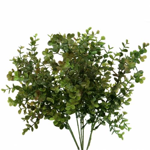 Floristik24 Gałązka dekoracyjna z bukszpanu zielona 40cm