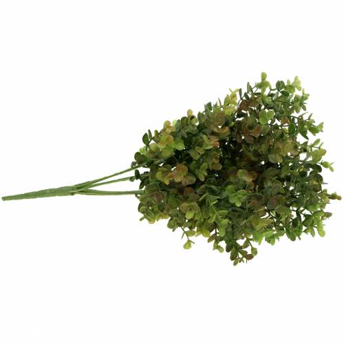 Floristik24 Gałązka dekoracyjna z bukszpanu zielona 40cm