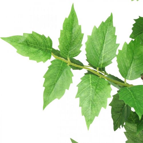 Floristik24 Gałąź Deco Sztuczne liście Gałąź Zielona Brzoza Gałąź 90cm