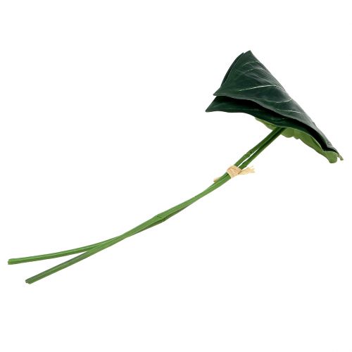 Floristik24 Liść kaladu 32 cm 2 szt.