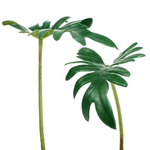 Produkt Filodendron Liściasty 31cm Zielony 12 szt