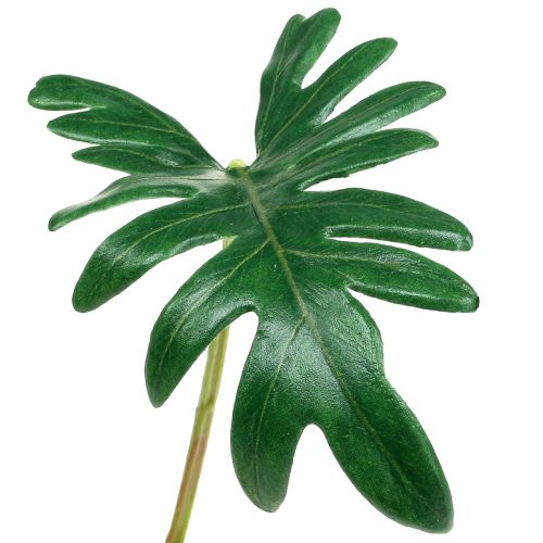 Produkt Filodendron Liściasty 31cm Zielony 12 szt