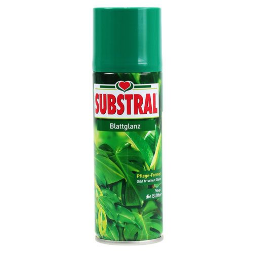 Floristik24 Błyszczyk do liści 200ml