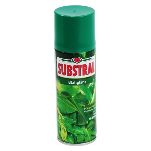 Floristik24 Błyszczyk do liści 200ml