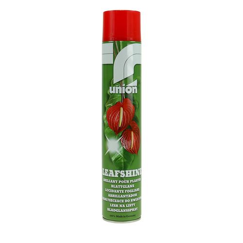 Floristik24 Spray nabłyszczający do liści 400ml