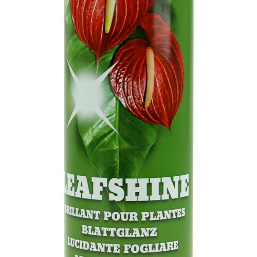 Floristik24 Spray nabłyszczający do liści 400ml