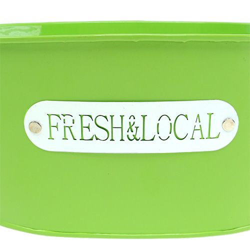 Floristik24 Blaszana miska owalna zielona 22cm x 15cm W10cm