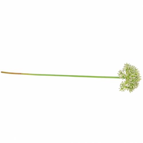 Produkt Sztuczna biel Allium 55 cm