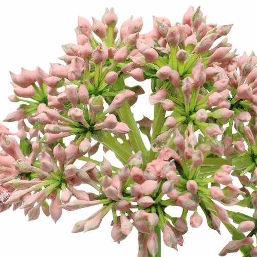 Produkt Allium sztuczne różowe 55cm