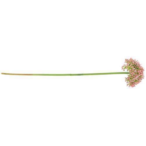 Produkt Allium sztuczne różowe 55cm