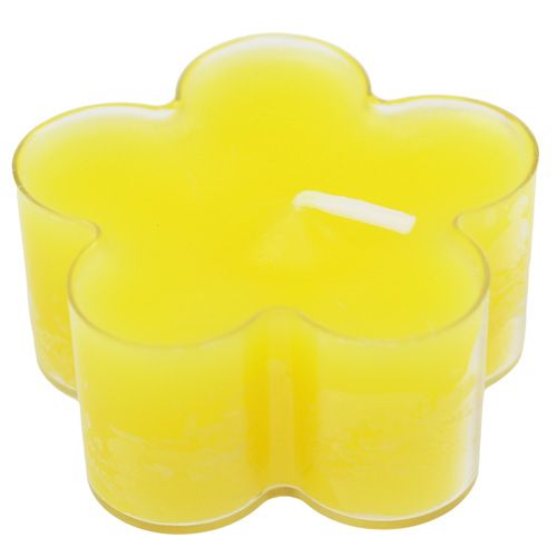 Floristik24 Kwiatek jasnożółty 12szt.