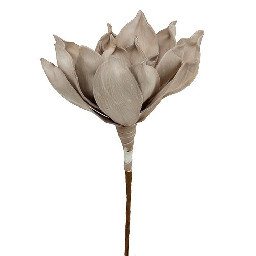 Floristik24 Gałązka kwitnąca Foam Grey 65cm