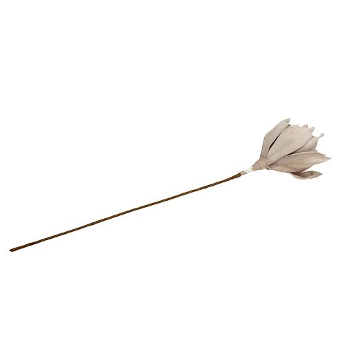 Floristik24 Gałązka kwitnąca Foam Grey 65cm