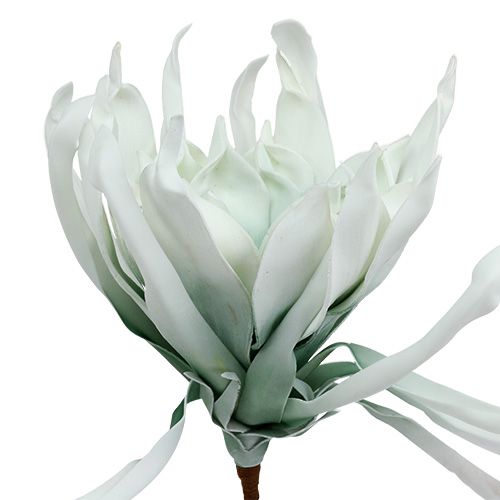 Produkt Gałązka kwitnąca Foam biała, zielona 72cm