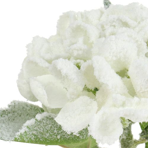 Produkt Hortensja biała śnieżna 33cm 4szt