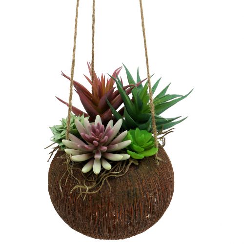 Floristik24 Kosz wiszący z sukulentami sztucznymi L65cm Ø16cm