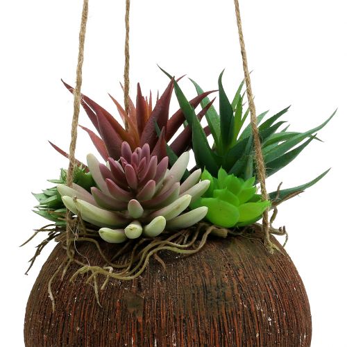 Floristik24 Kosz wiszący z sukulentami sztucznymi L65cm Ø16cm
