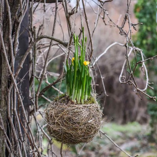 Floristik24 Blumenampel Heu Natur Kosz na rośliny do zawieszenia Doniczka wisząca Ø20cm