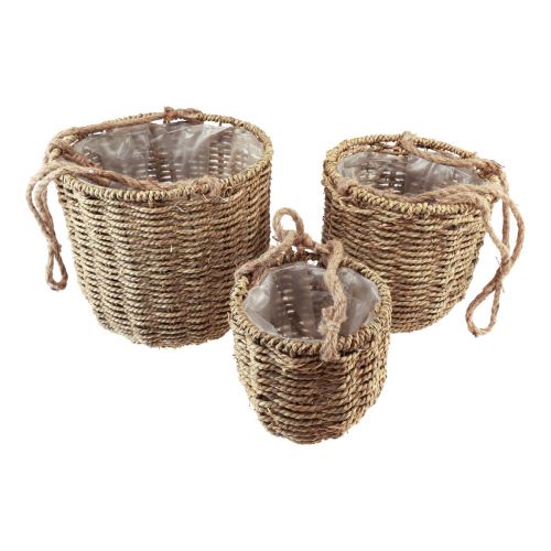 Floristik24 Kosz wiszący Kosz z trawą morską Ø15/20/25 cm, zestaw 3 szt