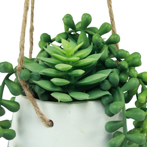 Produkt Kosze wiszące sukulenty sztuczne zielone różne 18cm 3szt