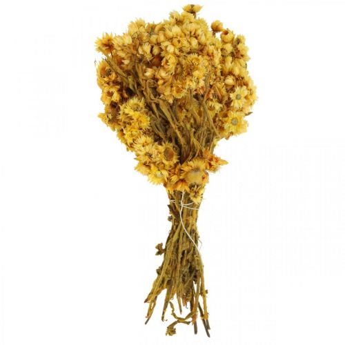Produkt Mini kwiat słomy, suszone żółte kwiaty, bukiet suchych kwiatów, wys. 20cm, 15g