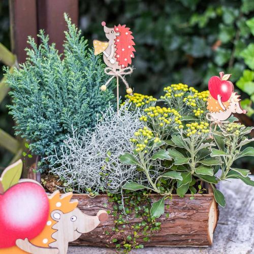 Floristik24 Kwiatowy patyk jeż, dekoracja drewniana, figura jesienna wys.9,5cm dł.32cm 12szt