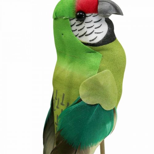 Floristik24 Wtyczka kwiatowa ptak, deco papuga zielona 23×4,5×5,5cm 6szt