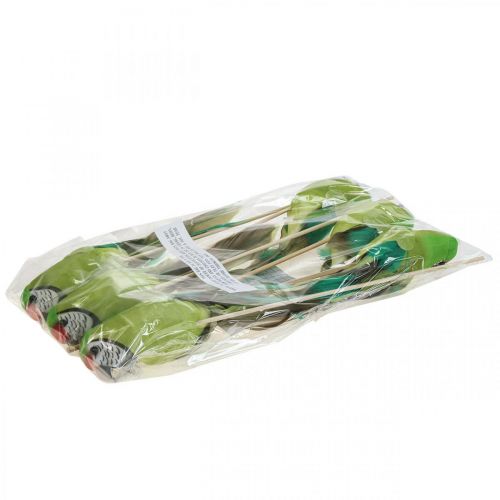 Floristik24 Wtyczka kwiatowa ptak, deco papuga zielona 23×4,5×5,5cm 6szt