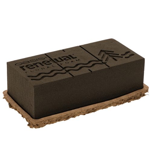 Gąbka florystyczna 1/1 kostka OASIS® Renewal® Gąbka florystyczna Biolit® 24 cm 2 szt.