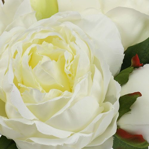 Floristik24 Bukiet Piwonii Białych L30cm