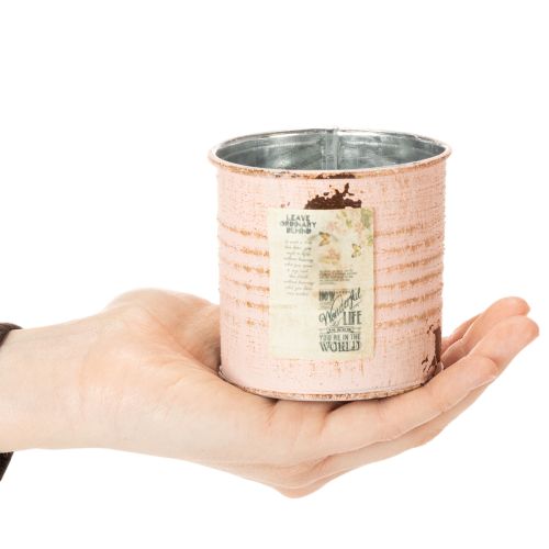 Produkt Doniczka dekoracyjna łosoś metalowa puszka na zioła Ø8cm wys.7,5cm