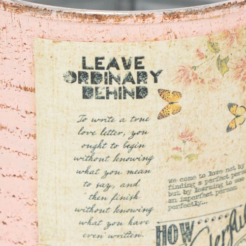 Produkt Doniczka dekoracyjna łosoś metalowa dekoracja letnia Ø11cm wys.10,5cm