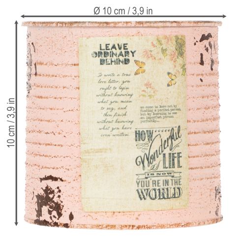 Produkt Doniczka dekoracyjna łosoś metalowa dekoracja letnia Ø11cm wys.10,5cm