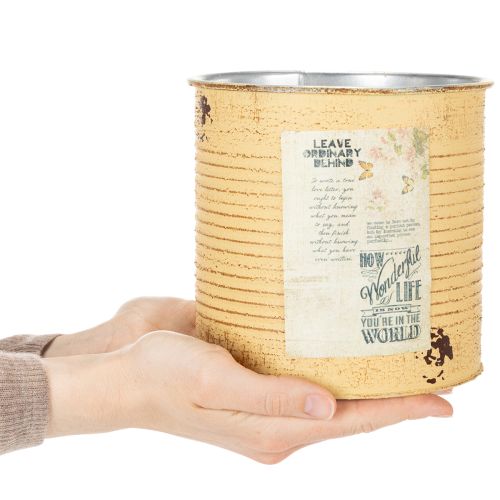 Produkt Doniczka w stylu vintage do salonu i biura, 15 cm, 3 szt.