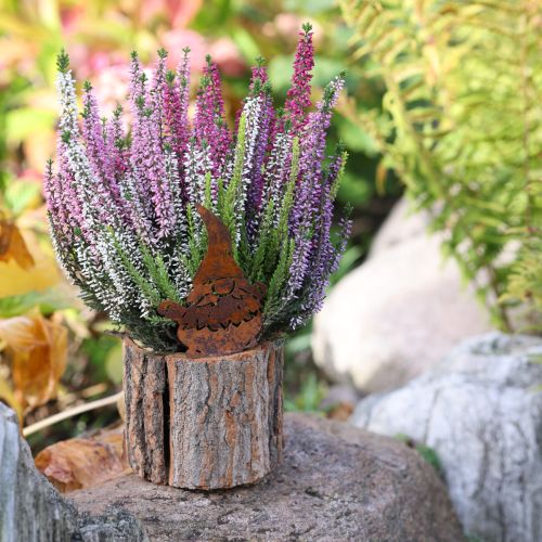 Produkt Doniczka z kory drewnianej krasnal rdzawy wys. 24 cm
