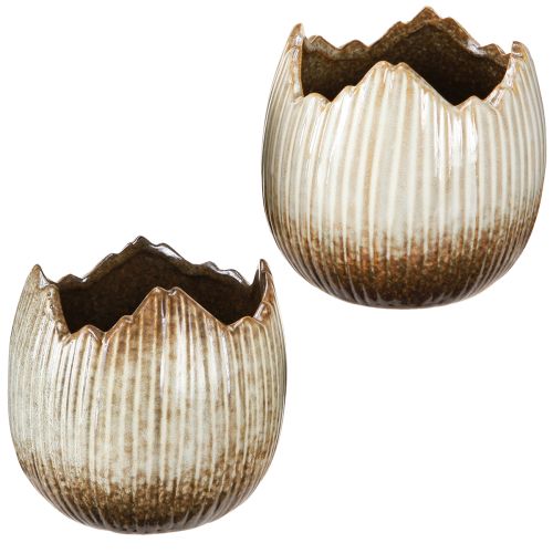 Produkt Doniczka Ceramiczna Jajko Złamane Kremowo-brązowe Ø11,5cm 2 szt
