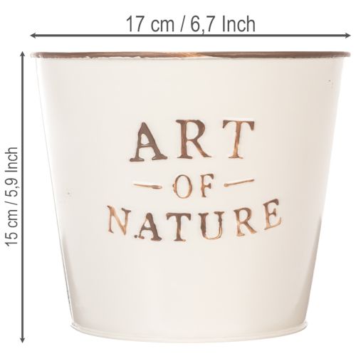 Doniczka cynkowa Art of Nature Kremowa Ø17,5cm W15cm | Floristik24.pl
