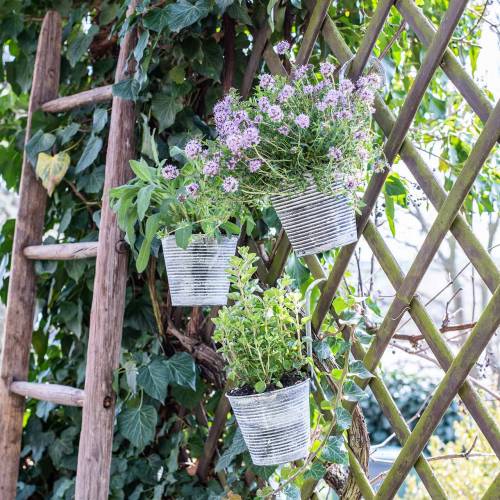 Floristik24 Doniczka do zawieszenia metalowego antycznego kremu Ø13cm W11.5cm