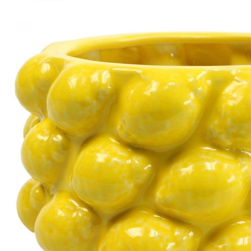 Floristik24 Doniczka cytrynowa ceramiczna żółta Ø18,5cm W12cm