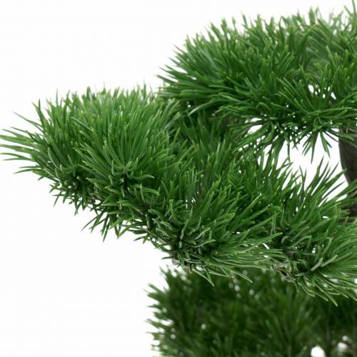 Floristik24 Drzewko Bonsai w Ceramicznej Doniczce Dziewczyna Sosna Sztuczna H36cm