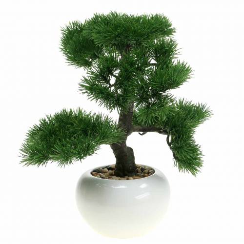 Floristik24 Drzewko Bonsai w Ceramicznej Doniczce Dziewczyna Sosna Sztuczna H36cm