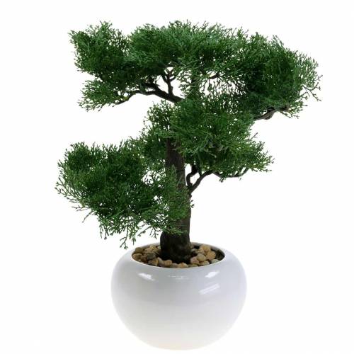 Floristik24 Drzewko Bonsai sosna sztuczna w doniczce H36cm
