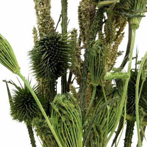 Floristik24 Bukiet Dzikich Kwiatów Natura, Zielony 25-60cm 70g