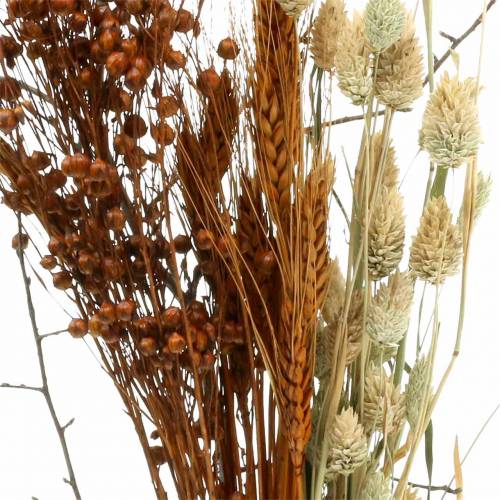Floristik24 Bukiet Dzikich Kwiatów Natura, Pomarańczowy 25-60cm 65g