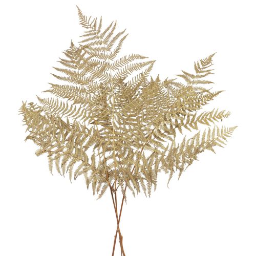Produkt Suszone kwiaty paproci dekoracyjnej Suszone liście paproci 70cm 10 szt
