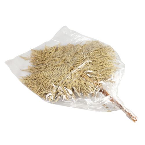 Produkt Suszone kwiaty paproci dekoracyjnej Suszone liście paproci 70cm 10 szt