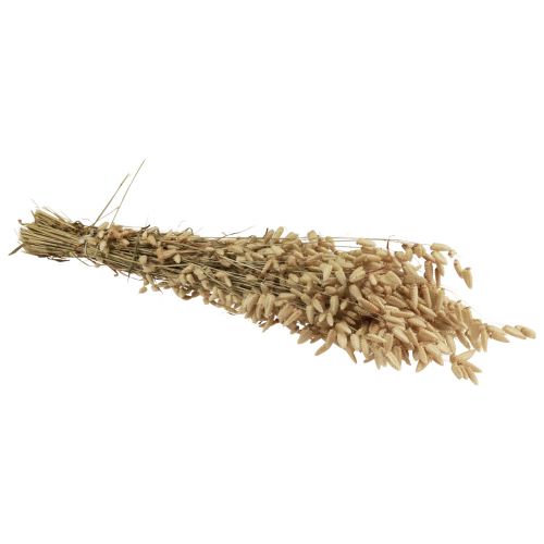 Floristik24 Suszona trawa ozdobna kwiatowa naturalna Briza trawa ozdobna 60cm 100g