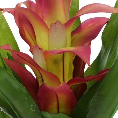 Produkt Bromeliad sztuczny różowy Sztuczny kwiat do przyklejenia 54cm