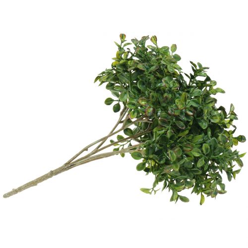 Floristik24 Gałązka bukszpanowa zielona 27cm